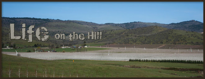 Life on the Hill