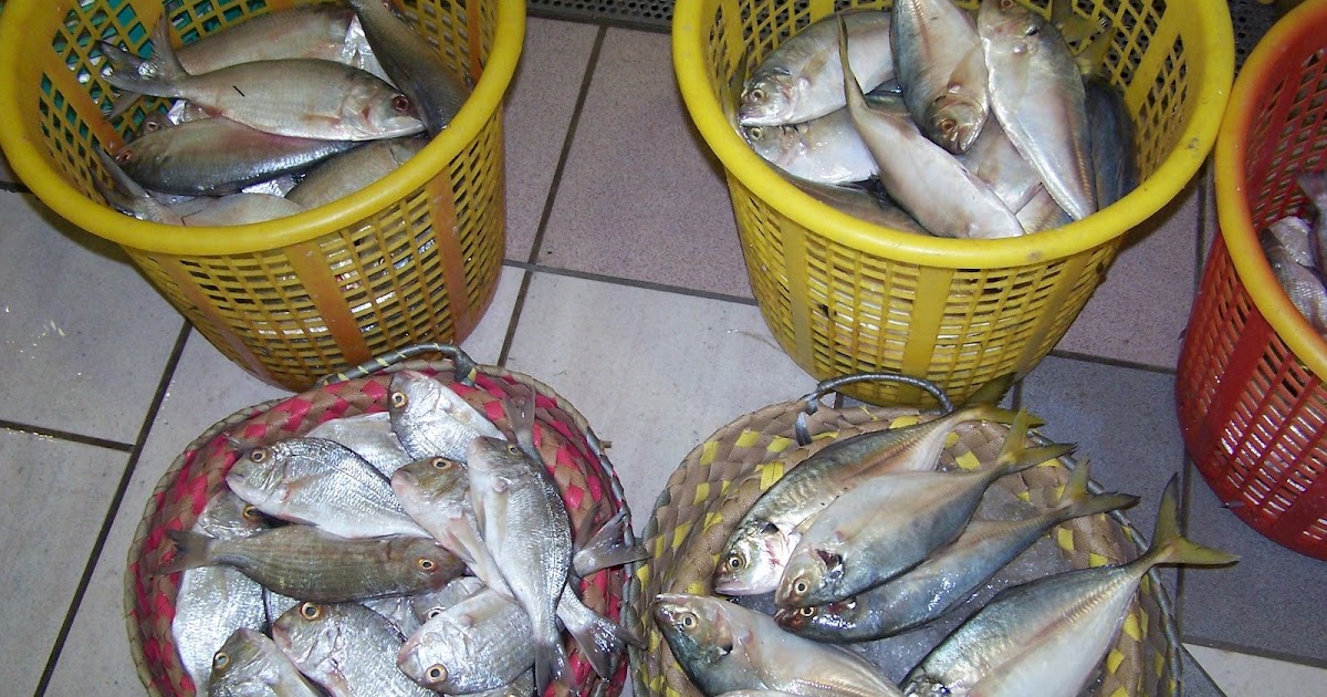 Mahboula, Kuwait Fresh Fish 38