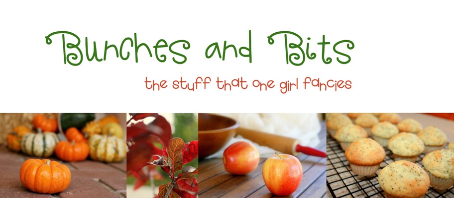 Bunches and Bits