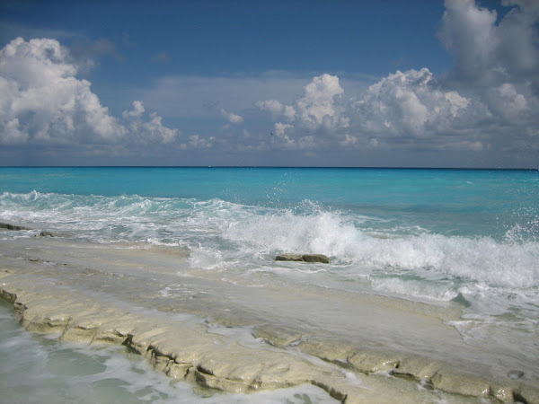 Ocean
