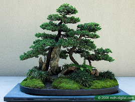 Penjing