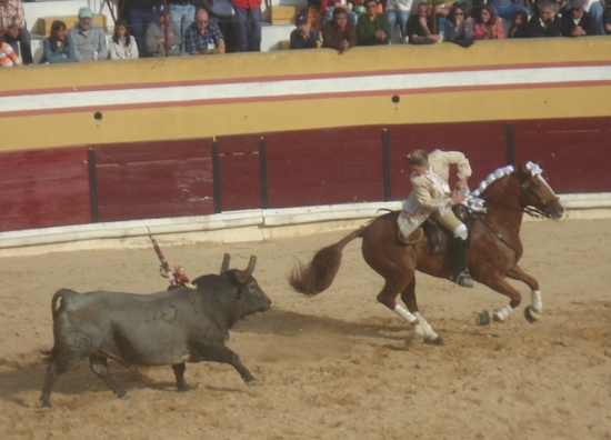 [DSC05519b.JPG]