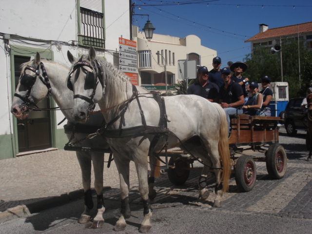 [DSC05550.JPG]