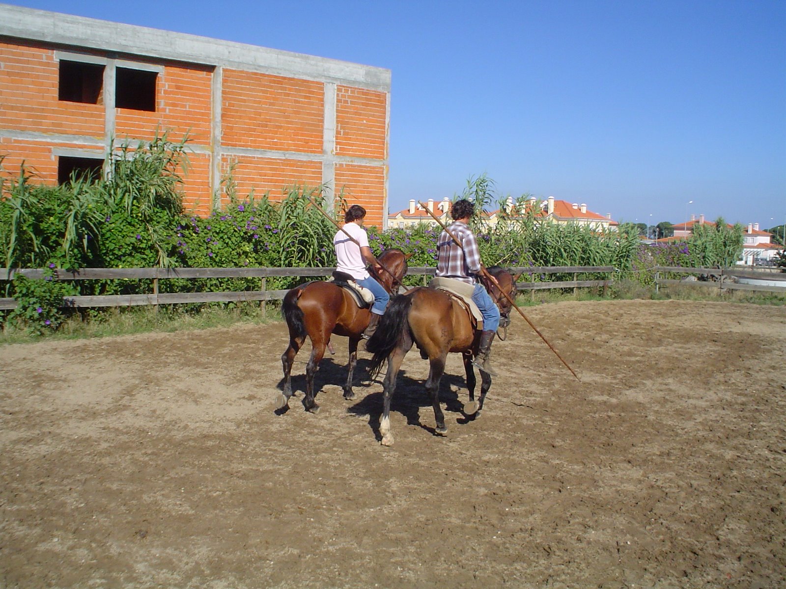 [DSC04773.JPG]