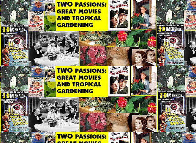GREAT MOVIES, TROPICAL PLANTS AND CATS