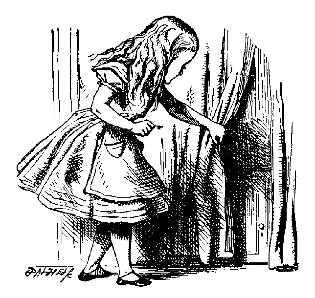 [Alice1.gif]