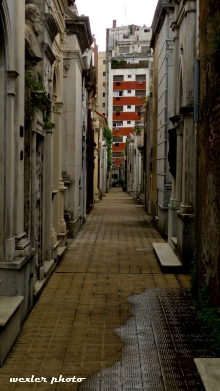 [P1020086.JPG]