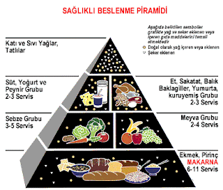 Dengeli ve düzenli beslenmenin önemi nedir ?