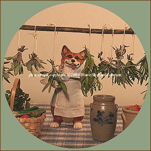 [Cupid+Corgi+Herbs+Photo+by+DSJ.jpg]