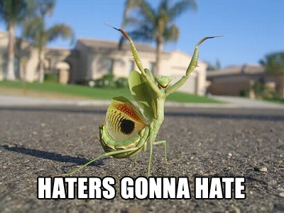 haters-gonna-hate-mantis.jpg