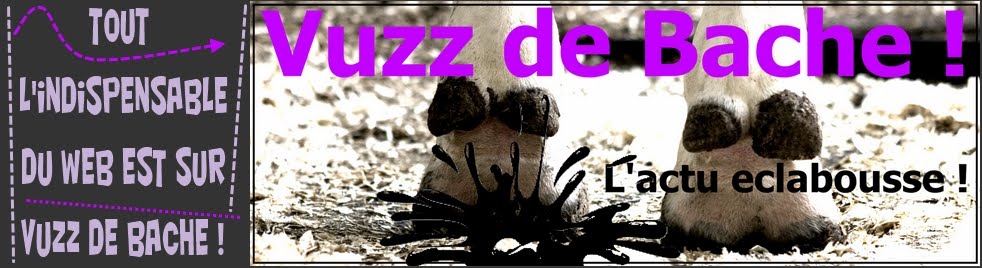 Vuzz de Bache ! Du buzz, toujours du buzz !