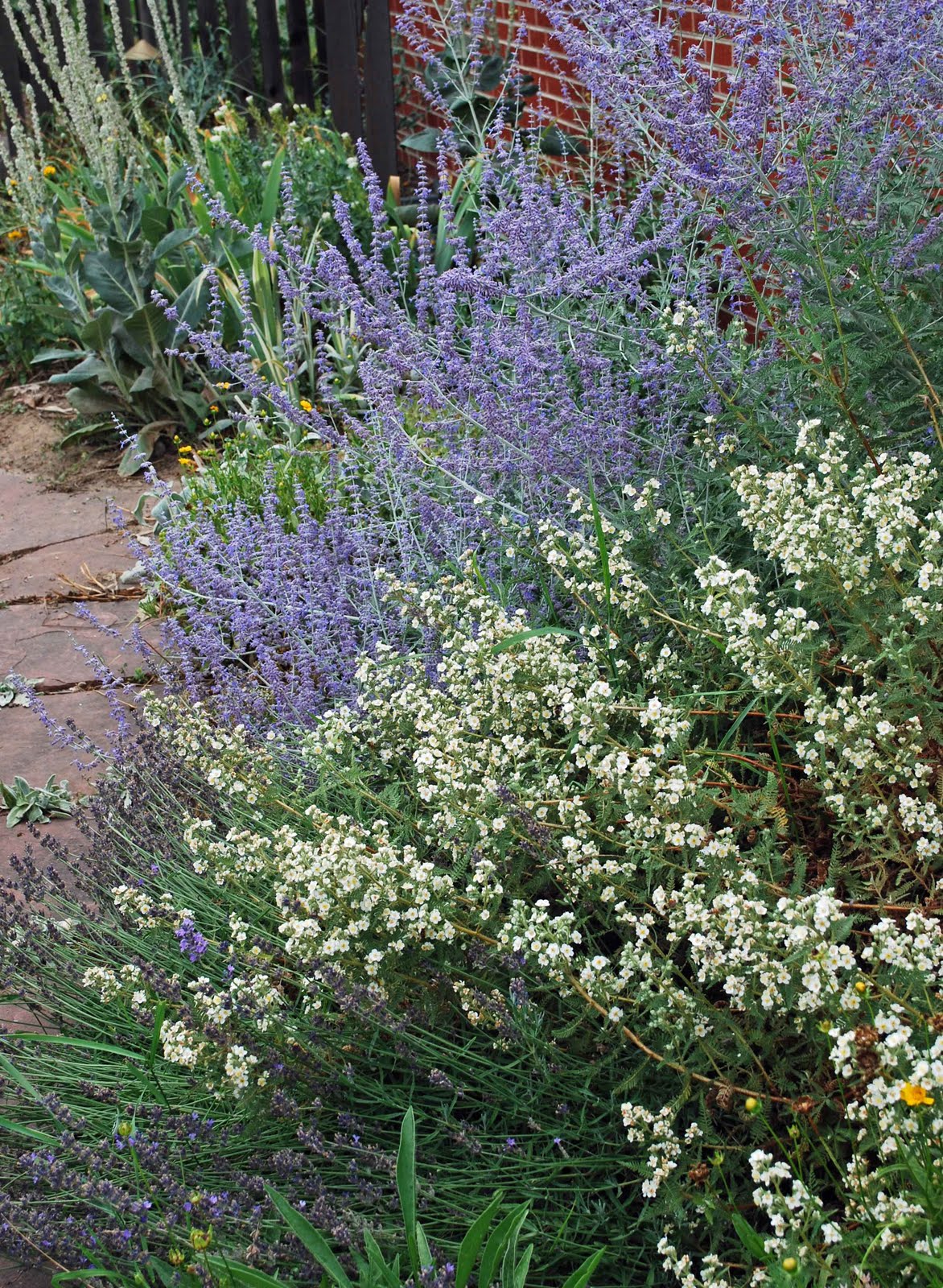 the art garden July 2010