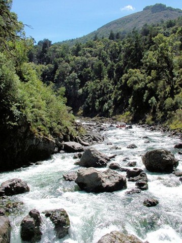 Dunia Rutsasongko: SUNGAI