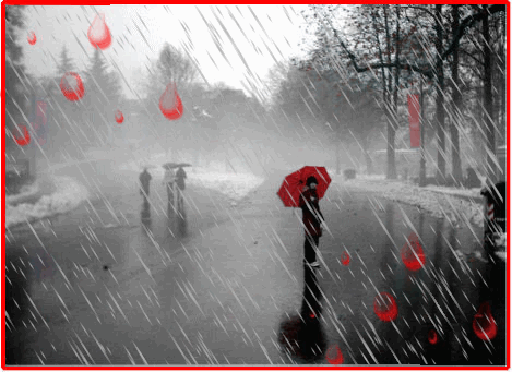 [Piove.gif]