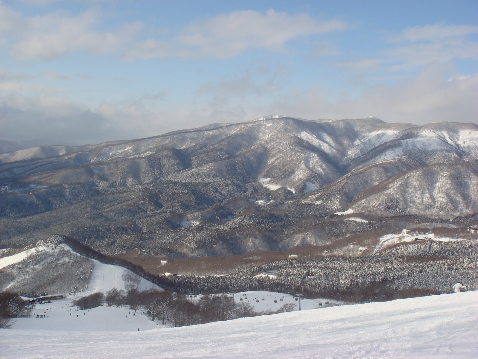 [January+2008+066.JPG]