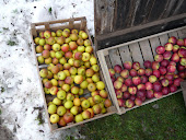 Snowy Creake Market