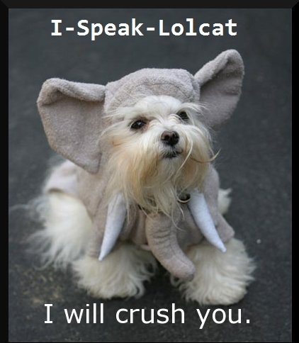 I-Speak-Lolcat