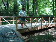Eagle Scout Builds Bridge At YMCA Camp Hazen