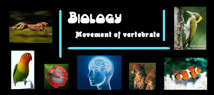 BIOLOGY :: Movement of vartebrate