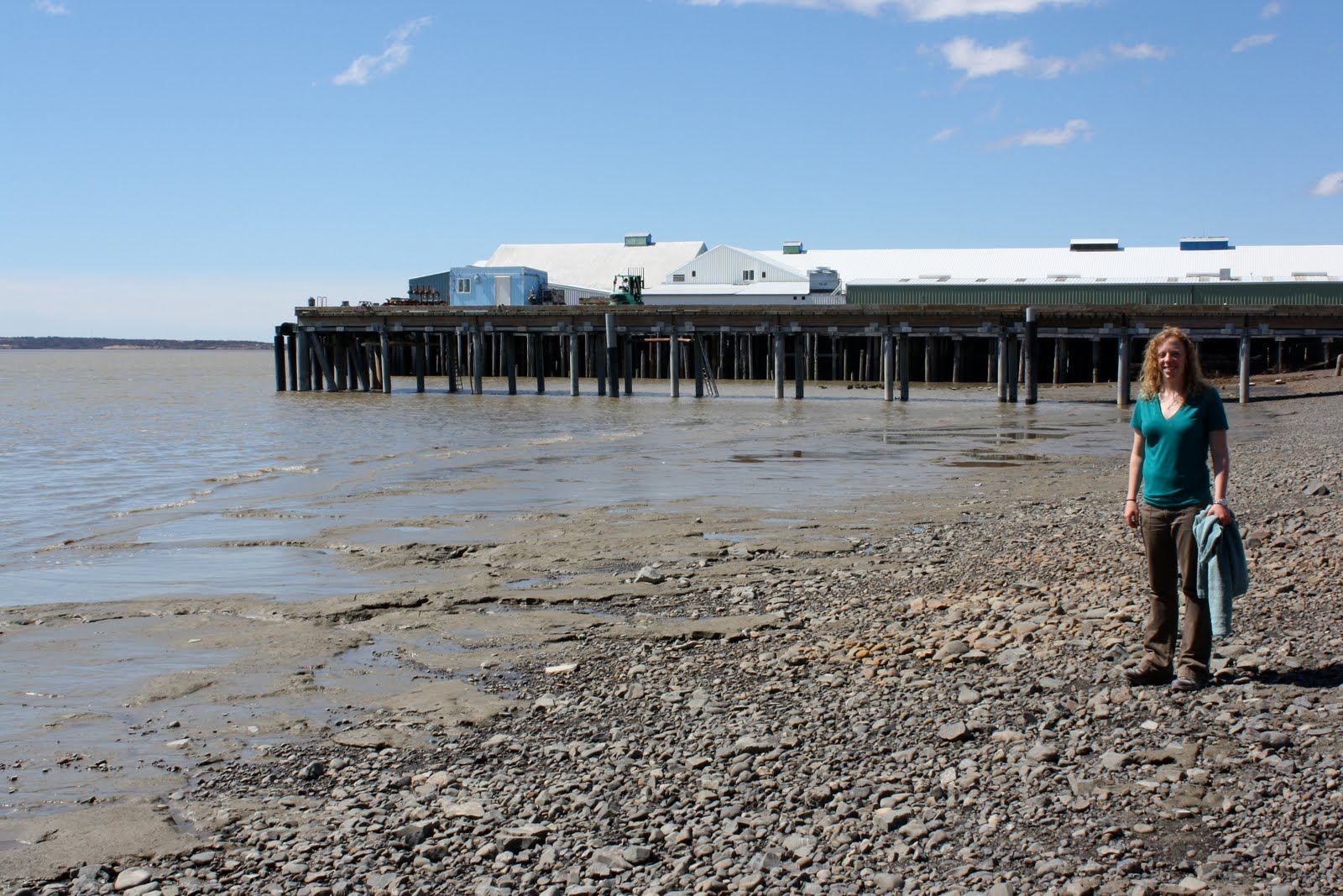 Moving To Dillingham Alaska at Tammy Tandy blog