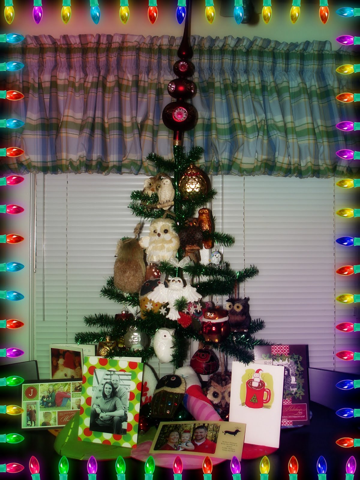 Christmas owl love - Suz's Treats
