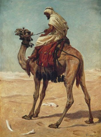 On A Camel