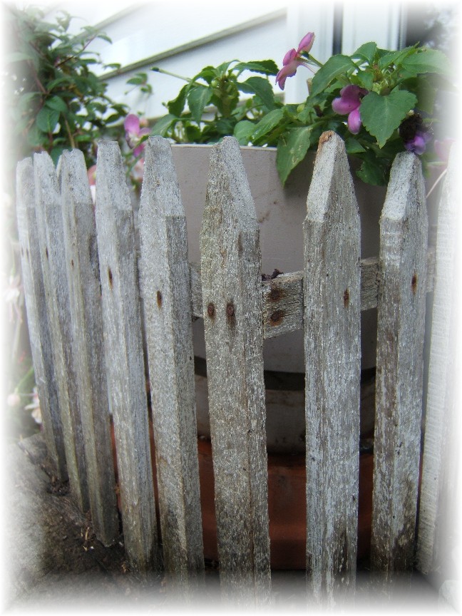 [BlogH+sowy+picket+fence+planter.jpg]