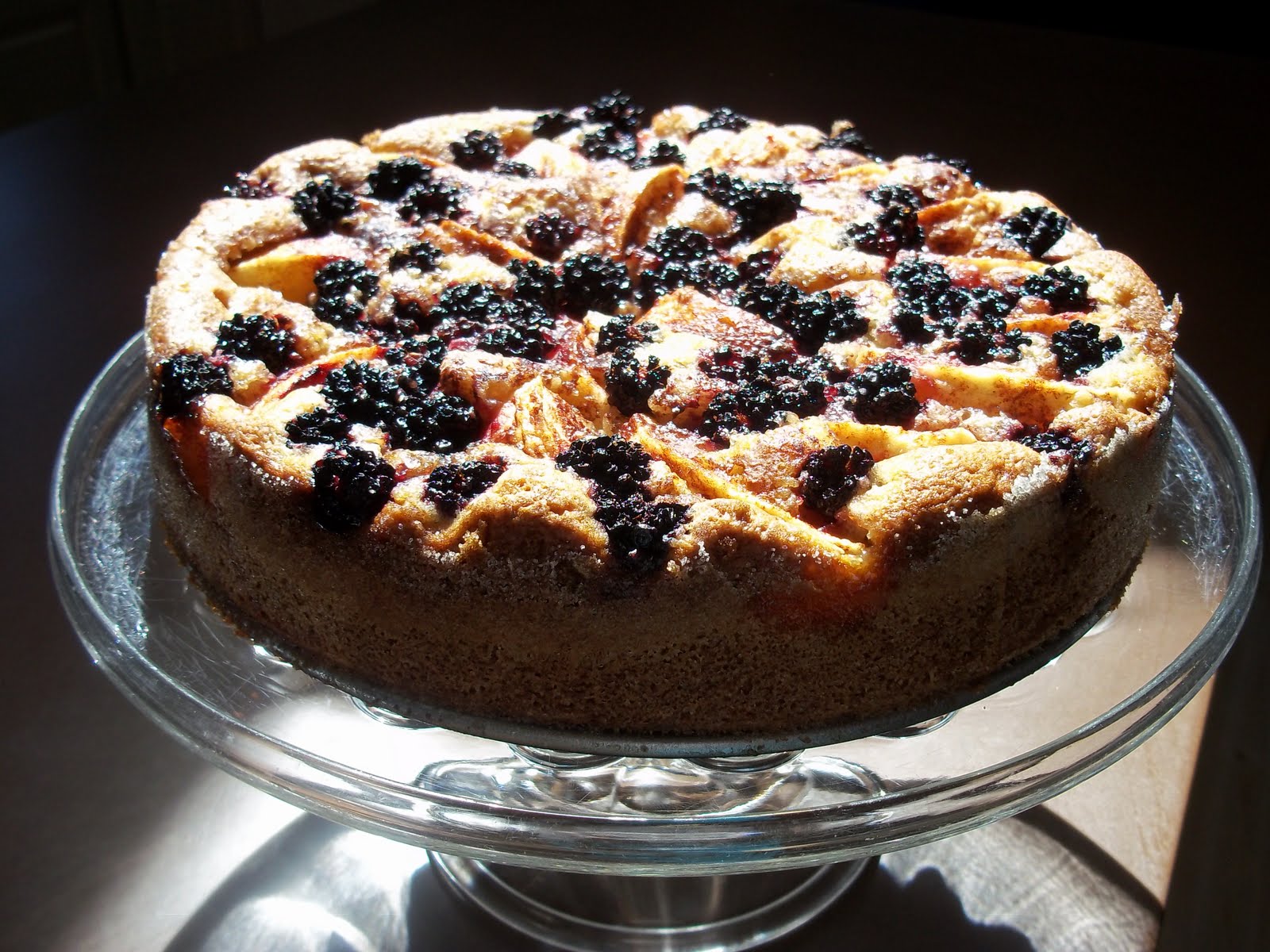 [Image: 100_2099.JPG]