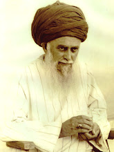 Sulthanul Awliya Mawlana Syaikh Nazim Adil al-Haqqani