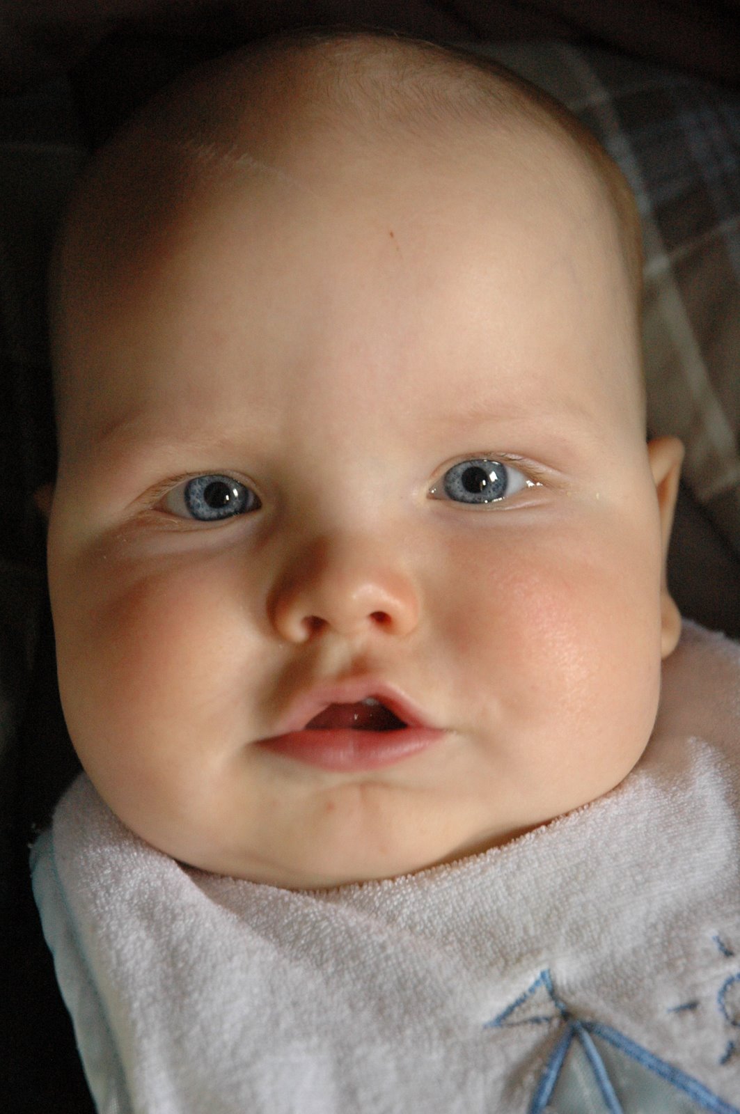 [DSC_0257.JPG]