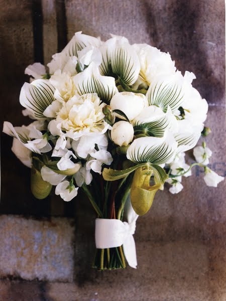 [flowers1.jpg]