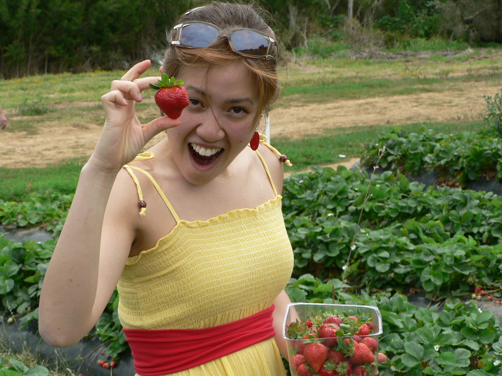 [200701+Strawberry+Farm-29.JPG]