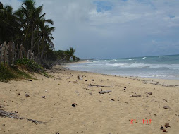 Terrenos en Repùblica Dominicana