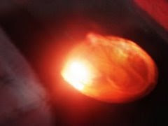 A Last Ray Of His LIFE!!!!!!!!!