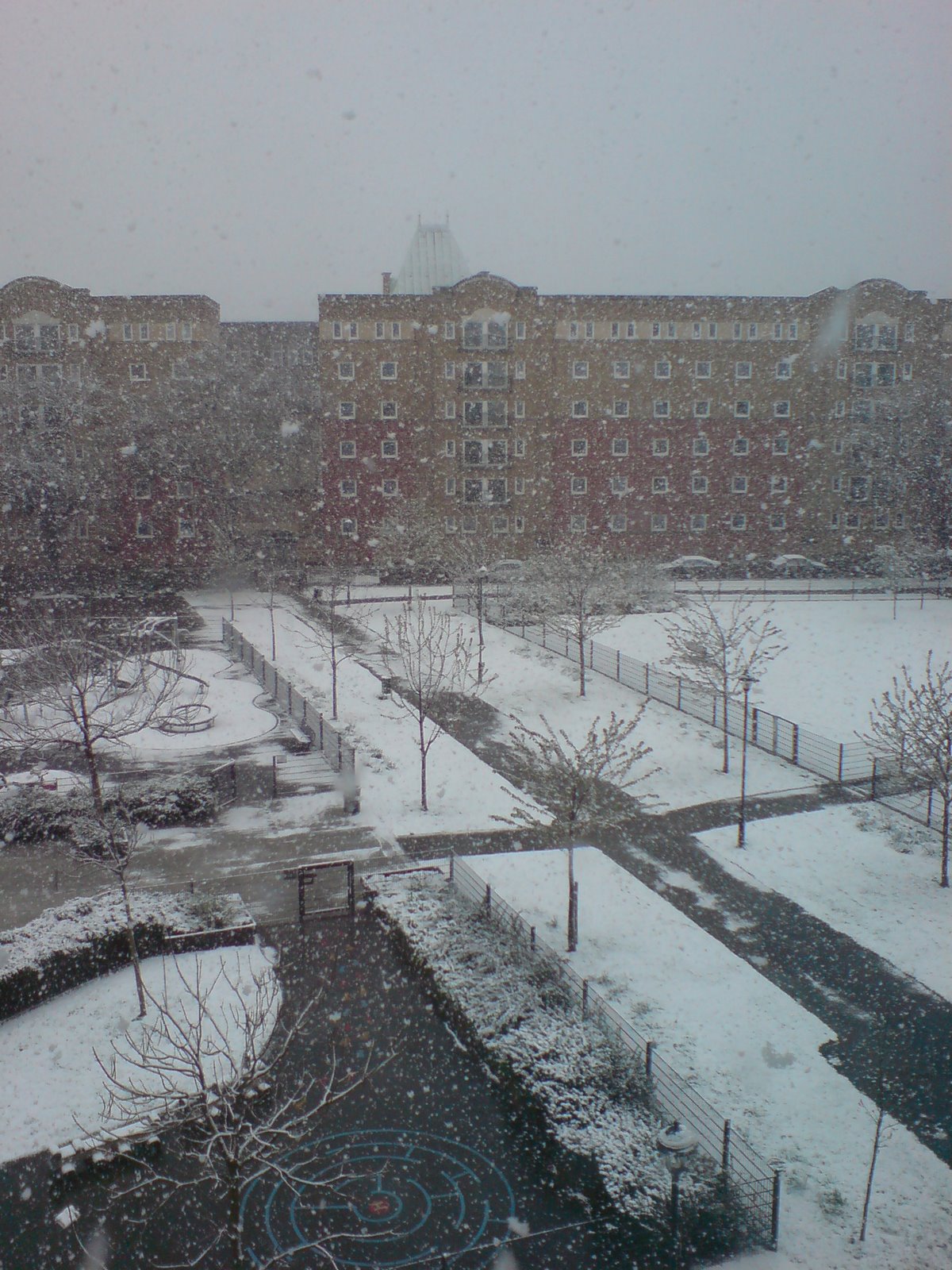 [DSC00051.JPG]