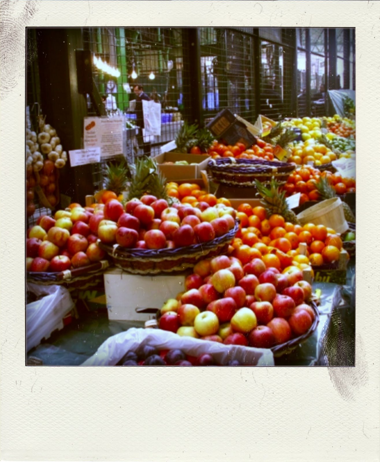 [fruit_bur_lon2_06-pola.jpg]