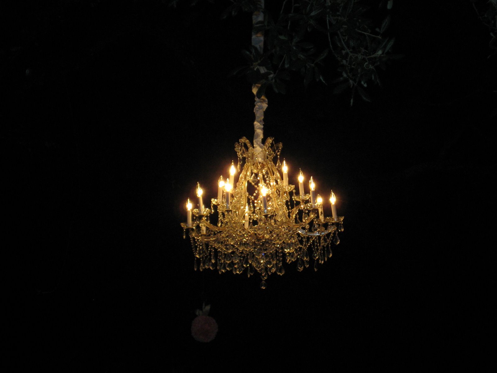 [IMG_5572.JPG]