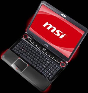 [MSI_GT660_300.jpg]