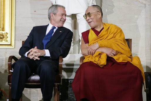 Adult啡色 lama bush Adult啡色