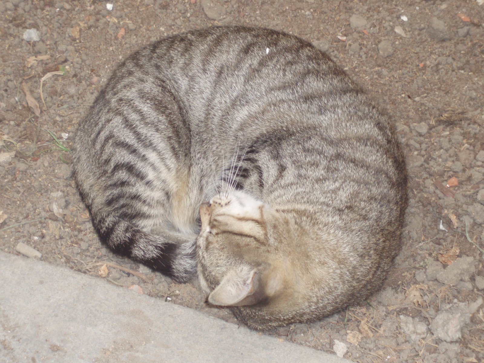 [P8142017.JPG]