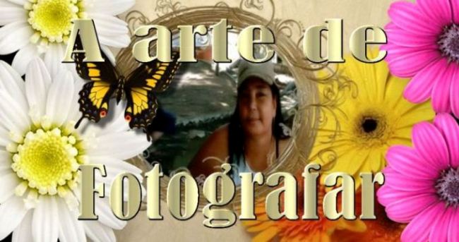 A arte de Fotografar