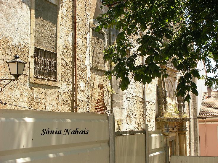 [SANY00381111111111.JPG]