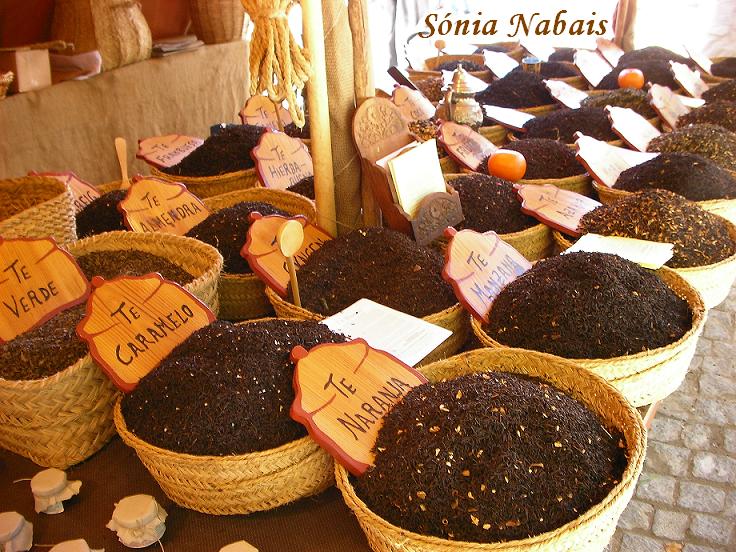 [Viagem+Medieval_1.JPG]