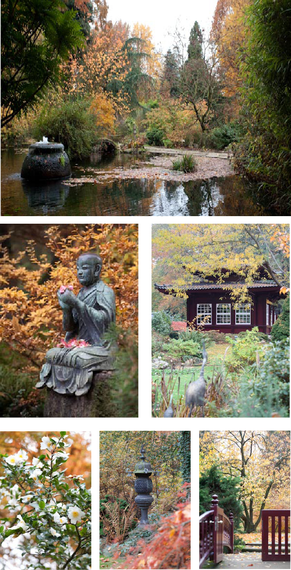 Gartenblick Gartenfotografie Japanische Garten Leverkusen