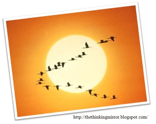 It’s A Whole New World!