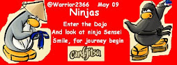 Ninja Banner
