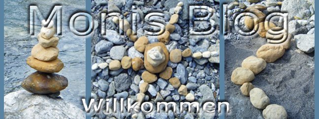 Monis Blog