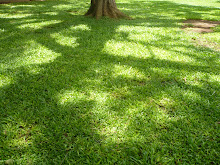 parque do ibirapuera - oscar