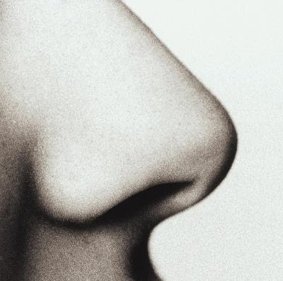 photo of a nose