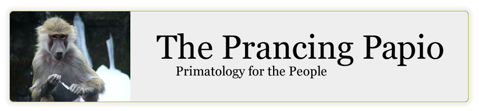 The Prancing Papio logo facebook png. The Prancing Papio